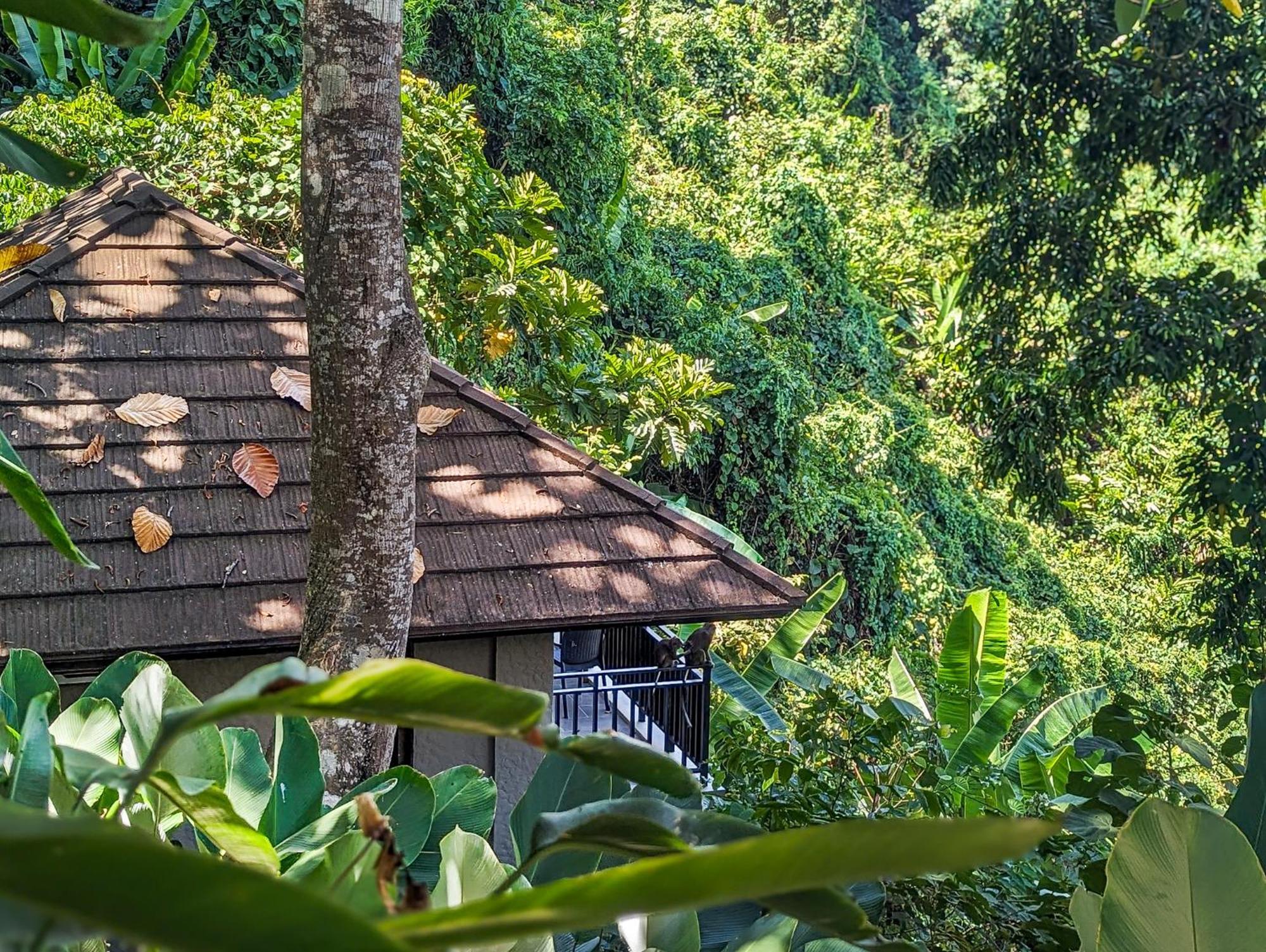 Perch El Nido'S Seaview Villas Overlooking Marimegmeg Экстерьер фото